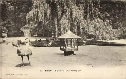 Ak Nancy Meurthe et Moselle, Pepiniere, Parc Zoologique