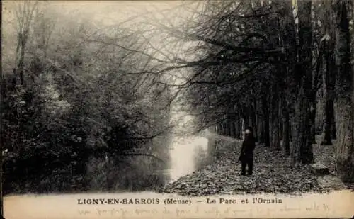 Ak Ligny en Barrois Meuse, Ornain, Ufer, Park