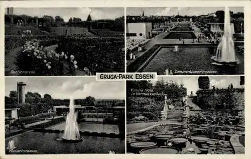 Ak Essen im Ruhrgebiet, Gruga-Park, Dahliengarten, Sommerblumenterrassen, Wasserterrassen