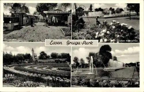 Ak Essen im Ruhrgebiet, Gruga-Park, Gruga-Bahnhof, Großer Blumenhof, Wasserspiele, Dahlienarena