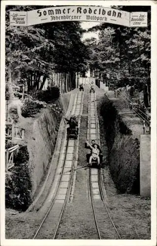 Ak Ibbenbüren im Tecklenburger Land, Sommerrodelbahn im Waldpark