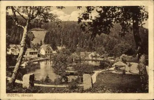 Ak Triberg im Schwarzwald, Bergsee