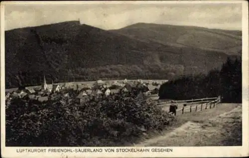 Ak Freienohl Meschede im Sauerland, Blick vom Stuckelhahn