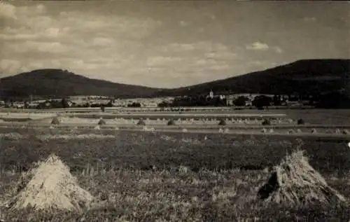 Foto Ak Römhild in Thüringen, Panorama, Felder