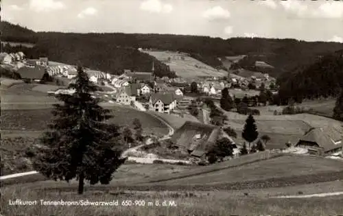 Ak Tennenbronn Schramberg im Schwarzwald, Panorama