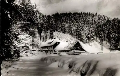 Ak Sankt Andreasberg Braunlage im Oberharz, Forsthaus Schluft