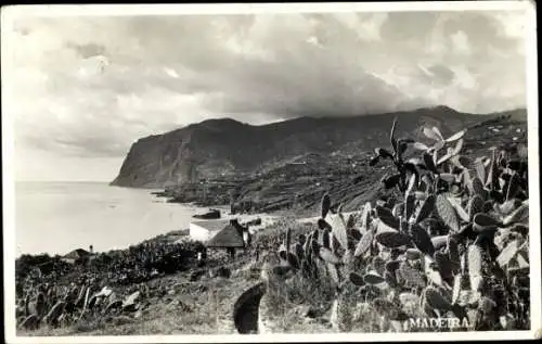 Ak Madeira Portugal, Cabo Girao, Küstenpartie, Kakteen, Felswand
