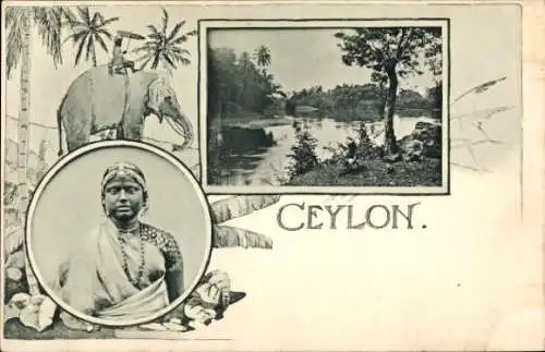 Ak Sri Lanka Ceylon, Flusslandschaft, Mann auf einem Elefanten, Frau im Sari