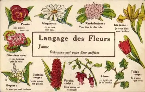 Ak Blumensprache, Margerite, Rhododendron, Iris, Tulpe