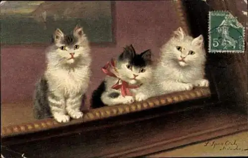 Künstler Ak Sperlich, Drei Katzen, Kätzchen, Bilderrahmen