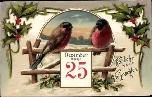 Ak Glückwunsch Weihnachten, Vögel, Kalender, Stechpalme