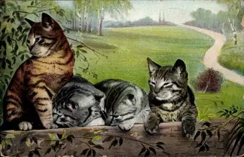 Ak Katzen am Zaun, Tierportrait
