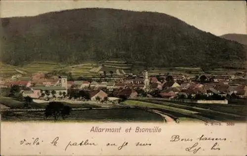 Ak Allarmont Vogesen, Panorama, Bionville