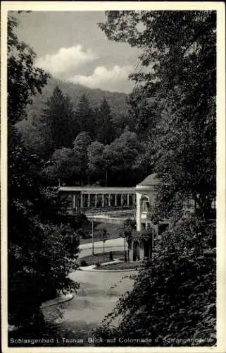 Ak Schlangenbad im Taunus Hessen, Colonnade, Schlangenquelle