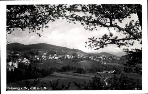 Ak Freyung Niederbayern, Panorama