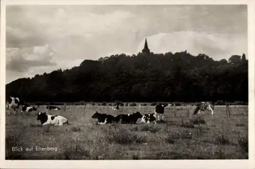 Ak Eltenberg Elten Emmerich am Niederrhein, Teilansicht, Kuhherde