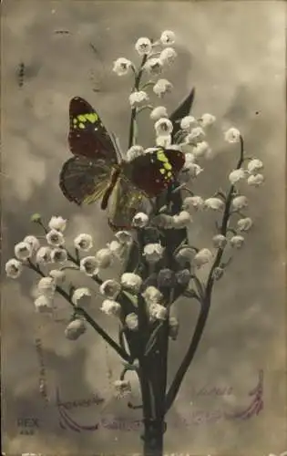 Ak Schmetterling, Maiglöckchen