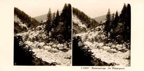 Stereo Foto Riesengebirge, Partie im Melzergrund