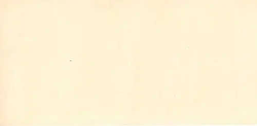 Stereo Foto Riesengebirge, Partie im Melzergrund