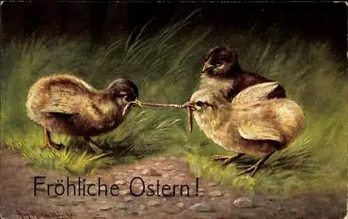 Künstler Ak Müller, August, Glückwunsch Ostern, Küken streiten sich um einen Regenwurm