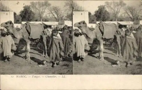 Stereo Ak Tanger Marokko, Camelier