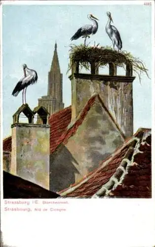Ak Straßburg Elsass Bas Rhin, Storchennest