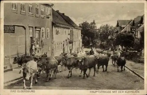 Ak Elgersburg in Thüringen, Hauptstraße, Kuhherde