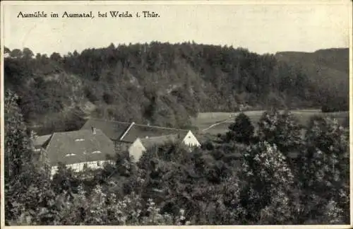 Ak Weida in Thüringen, Aumühle im Aumatal