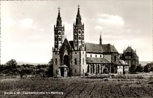 Ak Worms am Rhein, Liebfrauenkirche, Weinberg