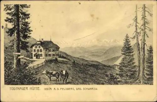 Ak Todtnau im Schwarzwald, Todtnauer Hütte, auf dem Feldberg