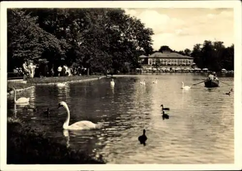 Ak München, Seehaus Kleinhesselohe, Englischer Garten