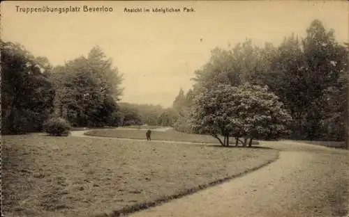 Ak Beverloo Beverlo Beringen Flandern Limburg, Truppenübungsplatz, Königspark