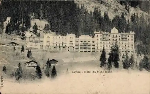 Ak Leysin Kanton Waadt, Hotel du Mont Blanc