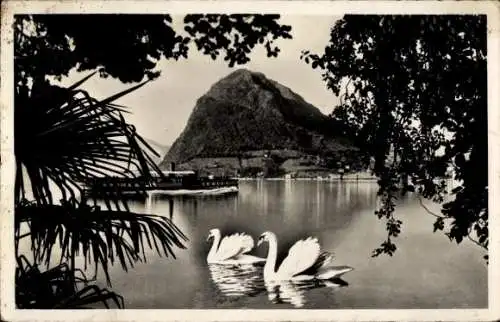 Ak Lago di Lugano Lombardia, col Monte S. Salvatore, Schwäne auf dem Wasser