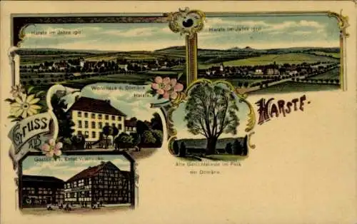 Litho Harste Bovenden Niedersachsen, Gerichtslinde, Gasthaus, Wohnhaus der Domäne, Totale