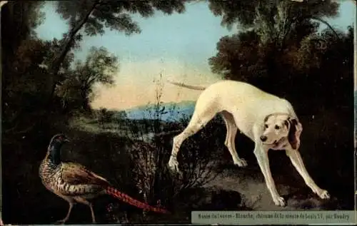 Künstler Ak Boudry, Weißer Hund und Fasan, Jagdhund von Louis XV