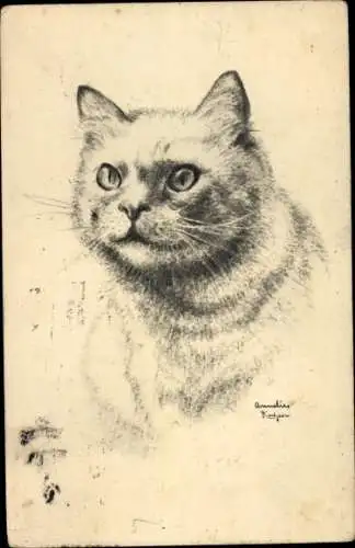 Künstler Ak Hauskatze