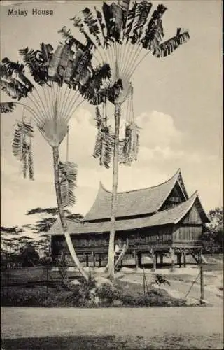 Ak Singapur, Malay House, Palmen