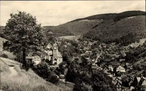 Ak Lauscha in Thüringen, Panorama