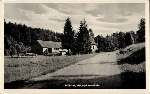 Ak Weißenborn Holzland Thüringen, Mühltal, Meuschkensmühle