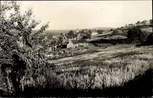 Ak Schellerhau Altenberg im Erzgebirge, Panorama