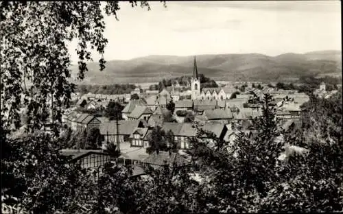 Ak Ellrich Harz Thüringen, Gesamtansicht mit Kirche