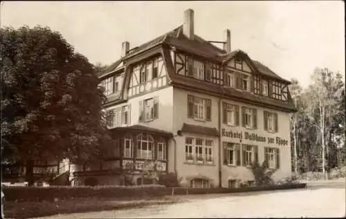 Ak Bad Klosterlausnitz in Thüringen, Kurhotel Waldhaus zur Köppe