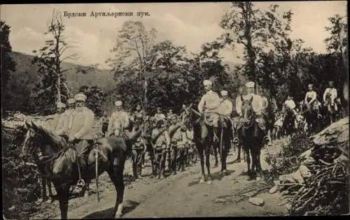 Ak Serbien, Gebirgsartillerie Regiment