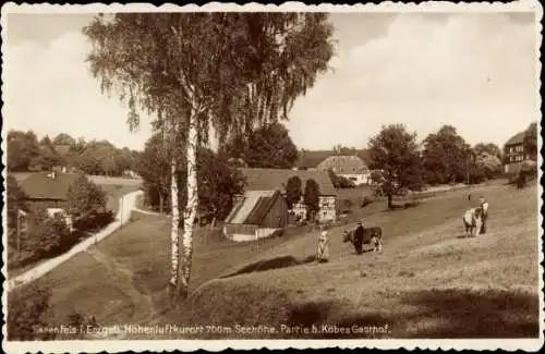 Ak Bärenfels Altenberg im Erzgebirge, Köbers Gasthof, Kühe, Gasthof Bärenfels