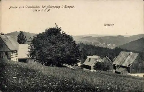 Ak Schellerhaus Altenberg im Erzgebirge, Wiesenpartie, Kipsdorf