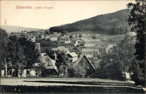 Ak Bärenfels Altenberg im Erzgebirge, Totalansicht