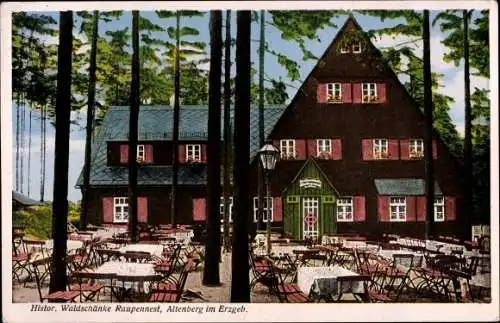 Ak Altenberg im Osterzgebirge, Blick auf die Waldschänke Raupennest, Inh. M. Nacke, Terrasse