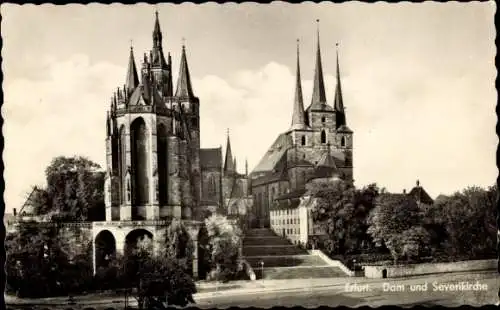 Ak Erfurt in Thüringen, Dom, Severikirche