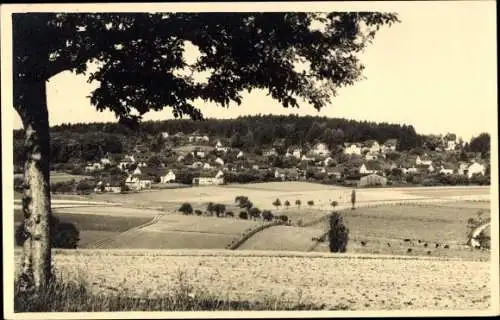 Ak Hartha Hintergersdorf Tharandt im Erzgebirge, Ortsansicht